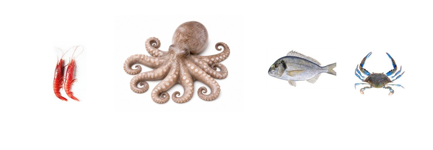 Sabrina Pesca premium seafood selection